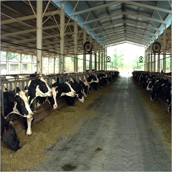 Dairy Project