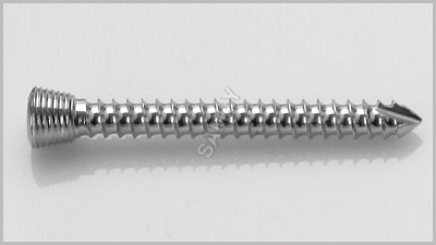 Locking Screw Orthopedics