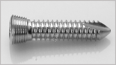 Surgical Screws