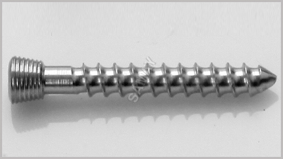 Surgical Locking Screw
