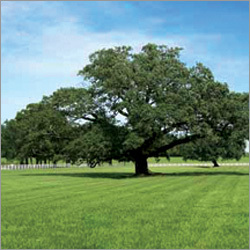 Artificial Lawn Mower