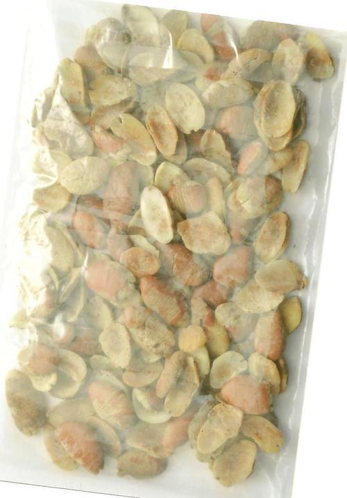 Bragira Seed