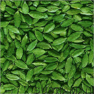 Green Cardamom