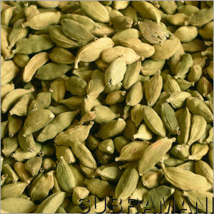 Cardamom