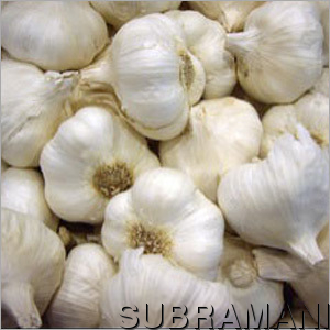 Garlic
