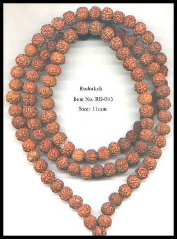 rudraksha beads