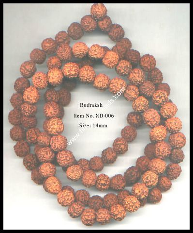 rudraksha beads