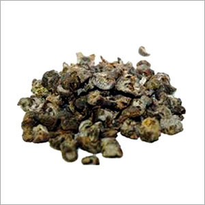 Herbs & Natural Remedies