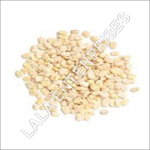 White Urad Dal - Premium Quality, Unblemished White Lentils | High Nutritional Value, Superior Taste, Bulk Packaging