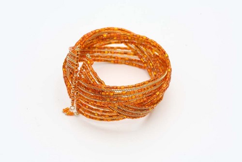 carnival products