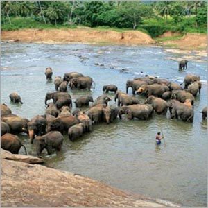 Sri Lanka Tourism