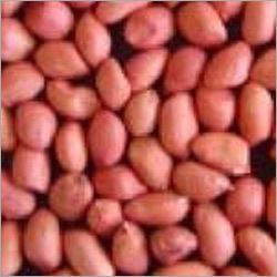 Ground Nut