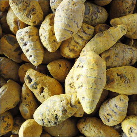 Turmeric