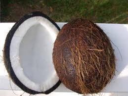 Dry coconut