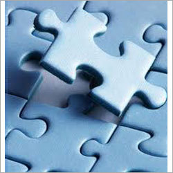 Business Process Management Services