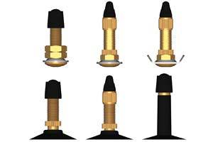 Bicycle Tube Valves