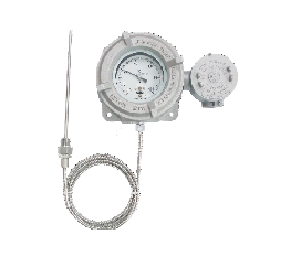 Temperature Switch Explosion Proof