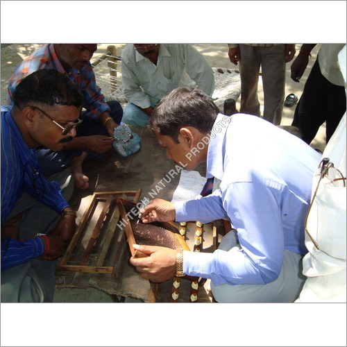 Beekeeping Training Consultant By Hi-Tech Natural Products (India) Ltd.