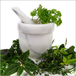 Herbs