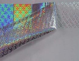 Hologram Security Seal