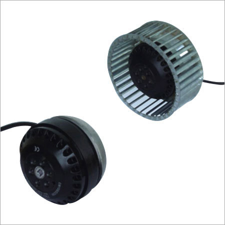 CEM Series Motors