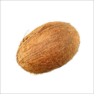 Coconut