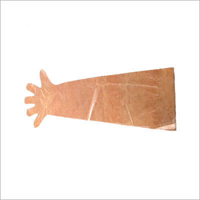 Disposable Plastic Gloves