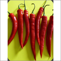 Red Chili Pepper