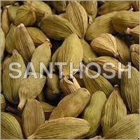 Cardamom