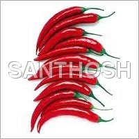 Red Chilly