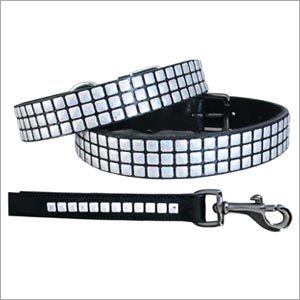 Custom Dog Collars