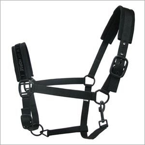 Horse Halters