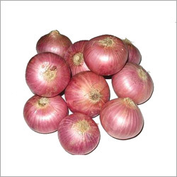 Fresh Red Onion