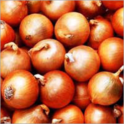 Nasik Onion