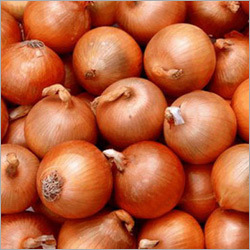 Small Onion