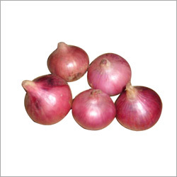 Farm Fresh Onion