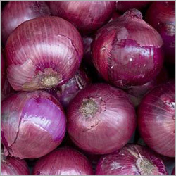 Medium Red Onion