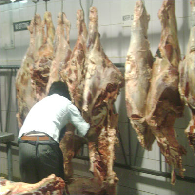 Fresh Frozen Buffalo Meat