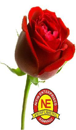 SHAHI GULAAB (ROSE)