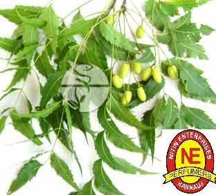 Neem
