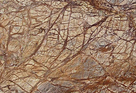 Rainforest Bidasar Brown Marble