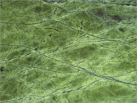 Bidasar Rainforest Green Marble