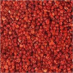 Gloriosa Superba Seeds