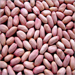Groundnut Seeds