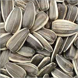 Sunflower Seeds