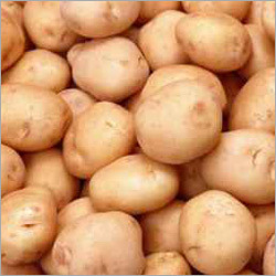 Fresh Potato