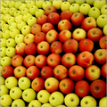 Fresh Apples