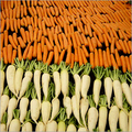 Carrots Turnips