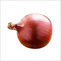 Fresh Onion