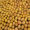 Potato's